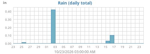 Rain